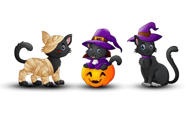 Conjunto de gato negro de Halloween con calabaza