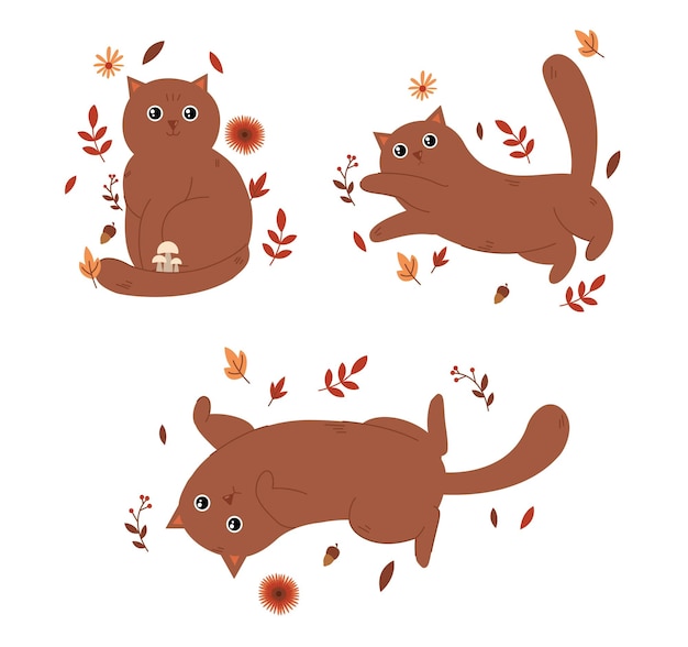 Conjunto de gato en otoño