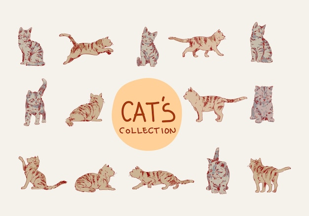 Conjunto de gatos dibujados a mano ilustración vectorial de estilo vintage Contorno de arte de líneas animales domésticos