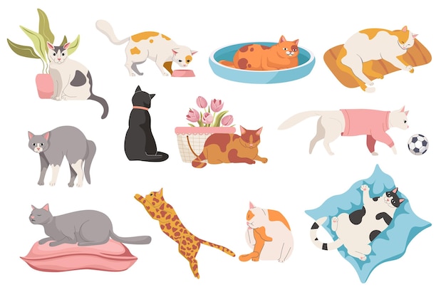 Conjunto de gatos en diferentes poses. Linda mascota duerme, se sienta en la maceta, divertidos gatitos juegan con la pelota, saltan y se relajan en la cama