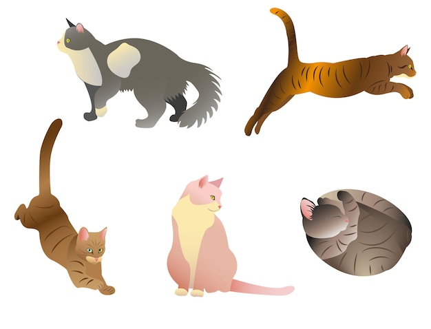 conjunto de gatos lindos vectoriales