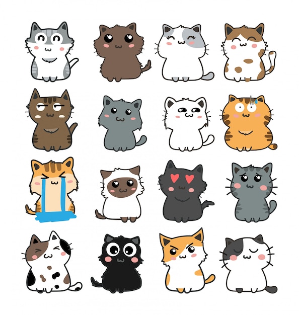 conjunto de gatos lindos