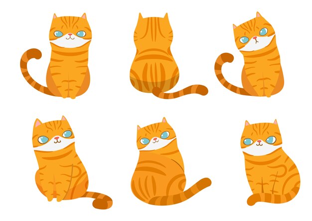 Conjunto de gatos rayas naranja en diferentes poses.