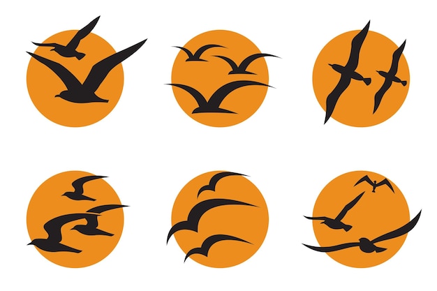 Vector conjunto de gaviotas