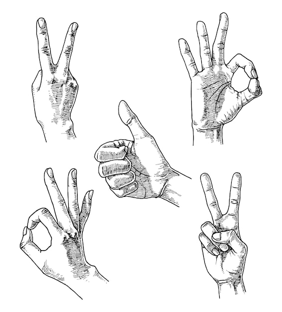 Conjunto de gestos de mano, ilustración dibujada a mano