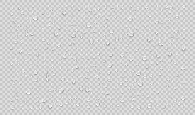 Conjunto de gotas de agua aisladas sobre fondo transparente ilustración vectorial realista