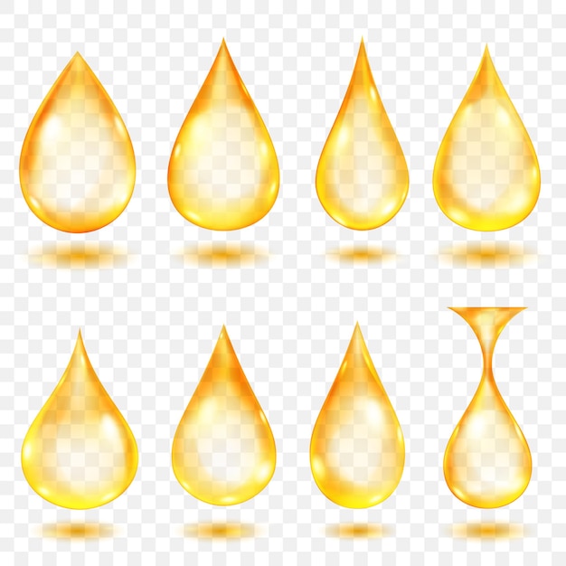Conjunto de gotas de agua translúcidas en colores amarillos en varias formas, aisladas sobre fondo transparente. Transparencia solo en formato vectorial