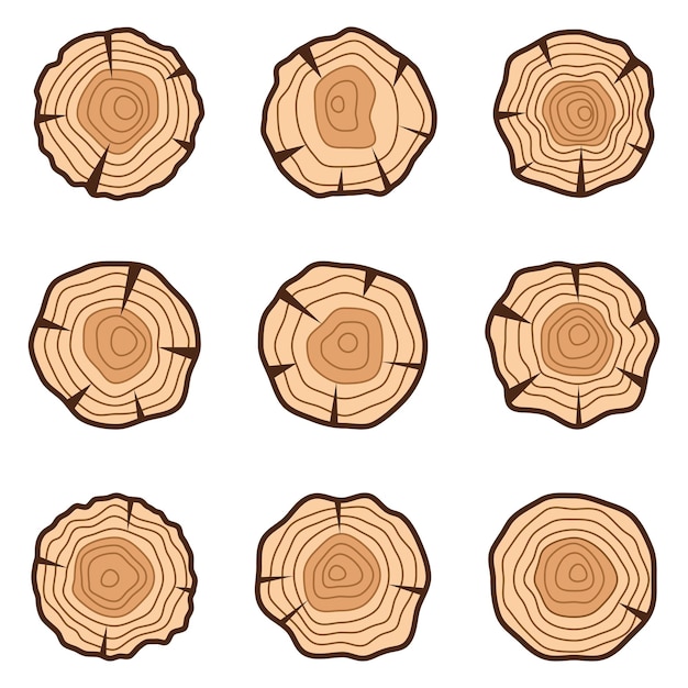 Conjunto gráfico de líneas vectoriales de anillos de árboles