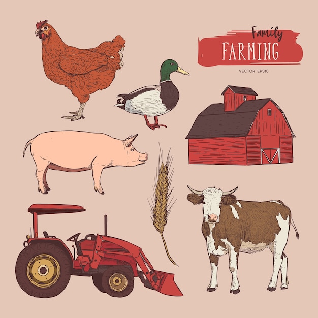 Conjunto de granja. Mano dibuja la ilustración de vaca, granero, gallina, grano, tractor y pato.