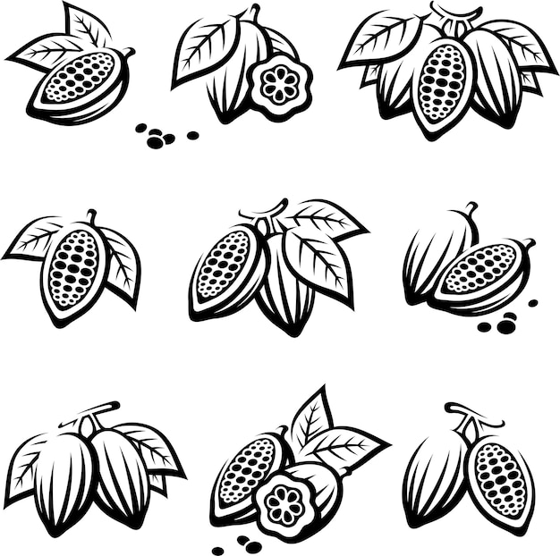 Conjunto de granos de cacao Vector