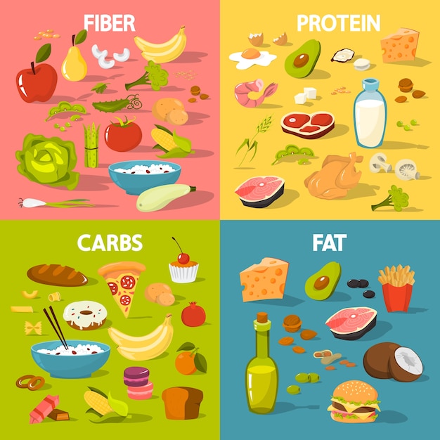 Vector conjunto de grupos de alimentos. alimentos con proteínas y fibra