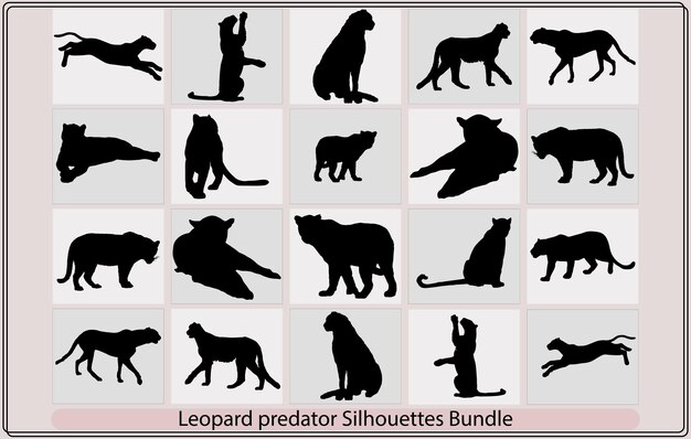 Conjunto de guepardo o leopardo en diferentes ángulos y emociones en un estilo de dibujos animados Conjunto de resumen