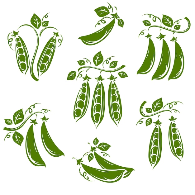 Conjunto de guisantes Icono de colección Vector de guisante