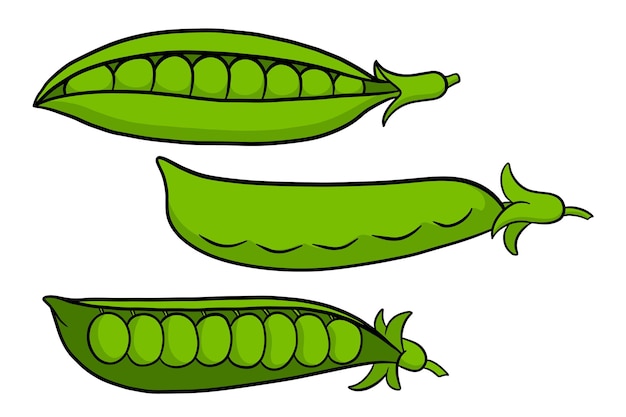 Conjunto de guisantes. Vainas de guisantes verdes cerradas y abiertas. En un estilo de dibujos animados. Ilustración de vector de diseño y decoración.