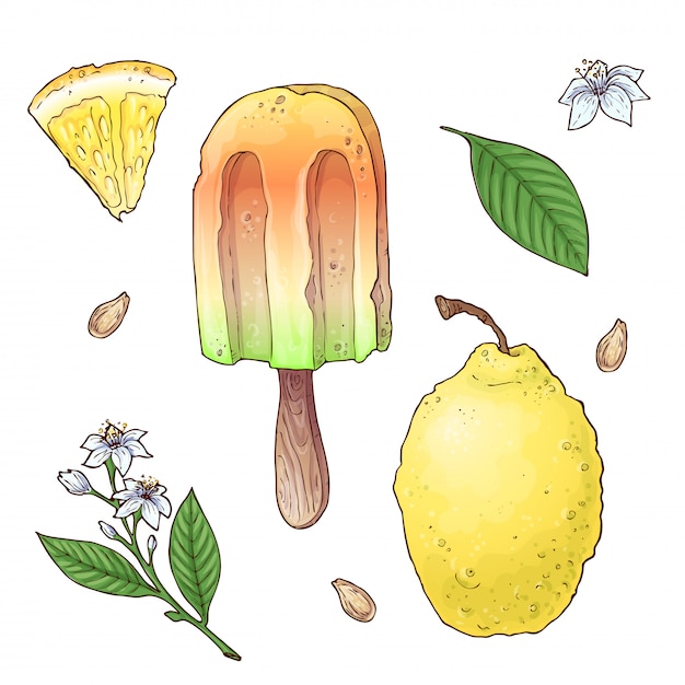 Vector conjunto de helado de cítricos