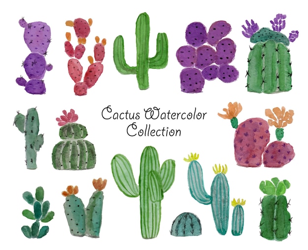 Un conjunto de hermosas acuarela cactus dibujadas a mano