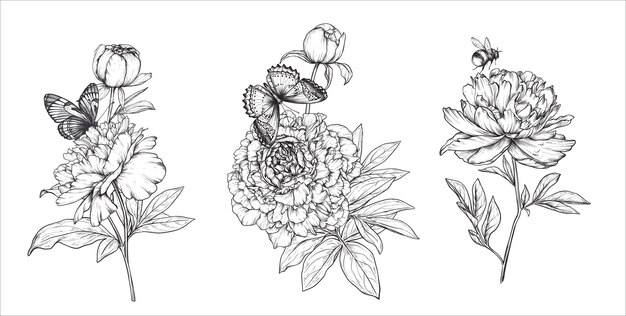 Conjunto de hermosas composiciones vectoriales dibujadas a mano con peonías en flor blancas y negras y otras flores de jardín mariposa abejorro