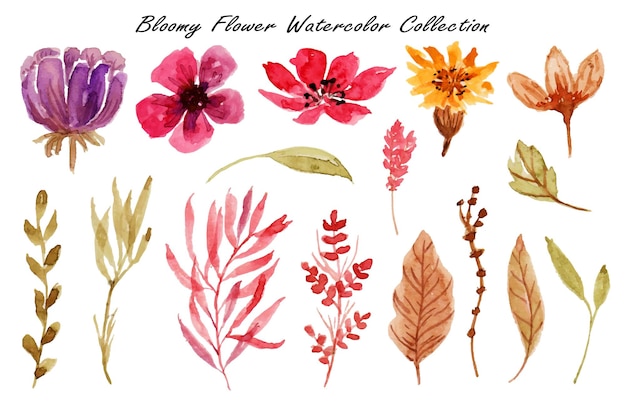 un conjunto de hermosas flores y hojas de acuarela.