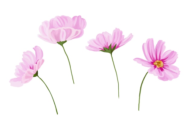 Conjunto de hermosas flores rosas