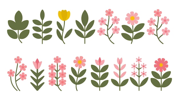 Un conjunto de hermosas flores silvestres de primavera dibujadas a mano del jardín botánico