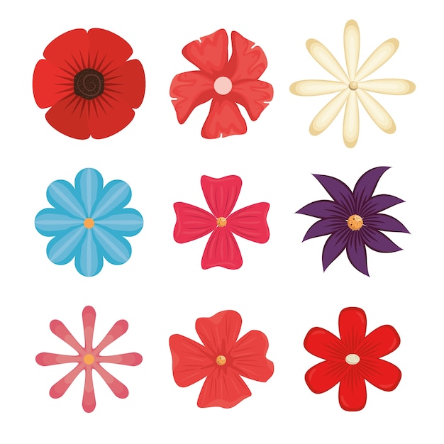 Vector conjunto de hermosas flores