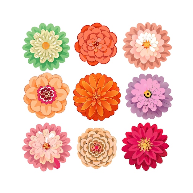 Un conjunto de hermosas ilustraciones vectoriales de estilo plano de flores