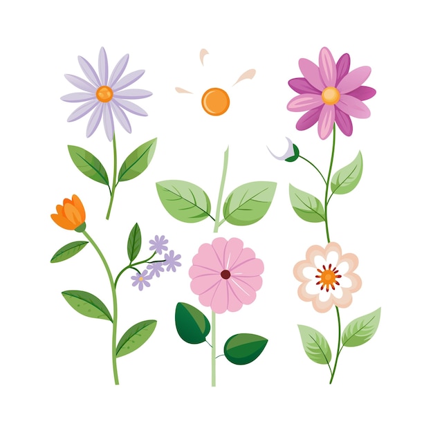 Un conjunto de hermosas ilustraciones vectoriales de estilo plano de flores