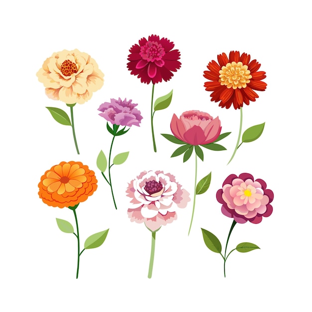 Un conjunto de hermosas ilustraciones vectoriales de estilo plano de flores
