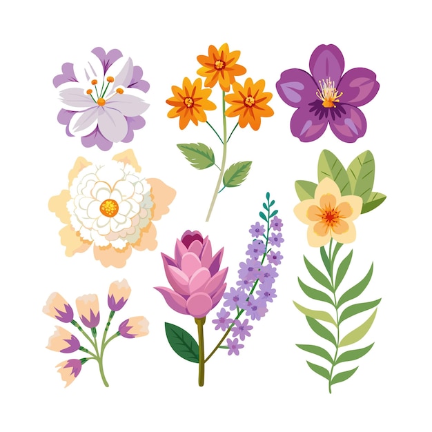 Un conjunto de hermosas ilustraciones vectoriales de estilo plano de flores