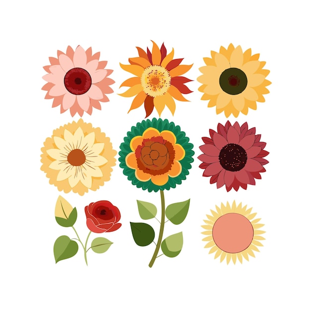 Un conjunto de hermosas ilustraciones vectoriales de estilo plano de flores