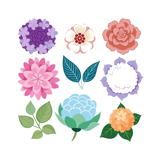 Un conjunto de hermosas ilustraciones vectoriales de estilo plano de flores