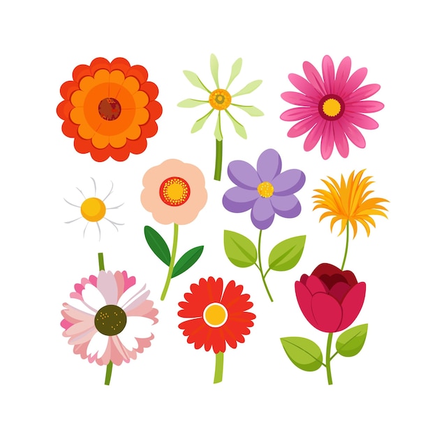 Un conjunto de hermosas ilustraciones vectoriales de estilo plano de flores