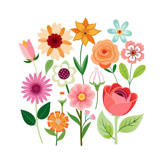Un conjunto de hermosas ilustraciones vectoriales de estilo plano de flores