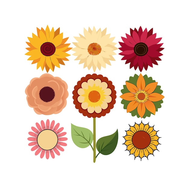 Un conjunto de hermosas ilustraciones vectoriales de estilo plano de flores