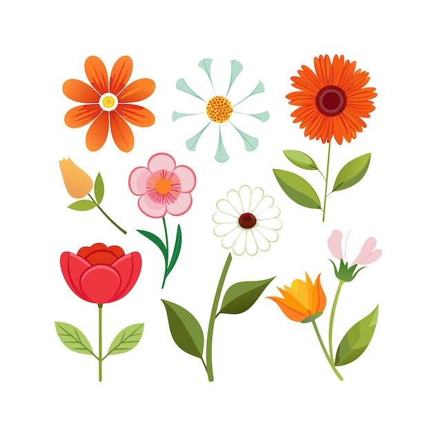 Un conjunto de hermosas ilustraciones vectoriales de estilo plano de flores