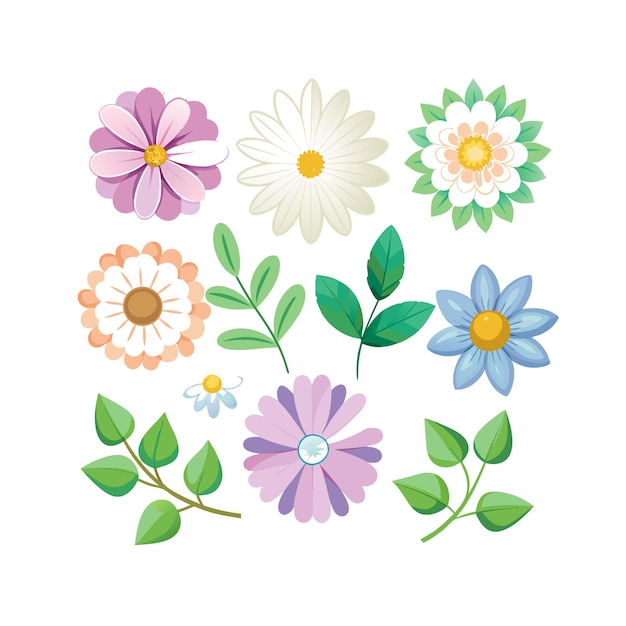 Un conjunto de hermosas ilustraciones vectoriales de estilo plano de flores
