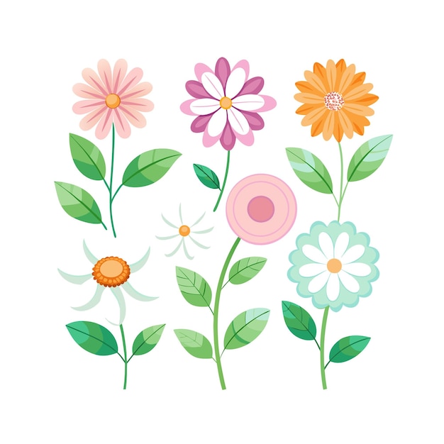 Un conjunto de hermosas ilustraciones vectoriales de estilo plano de flores