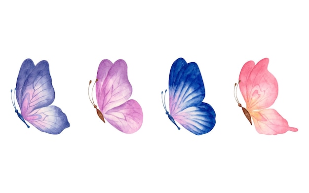 Conjunto de hermosas mariposas dibujadas a mano en acuarela aislado en blanco
