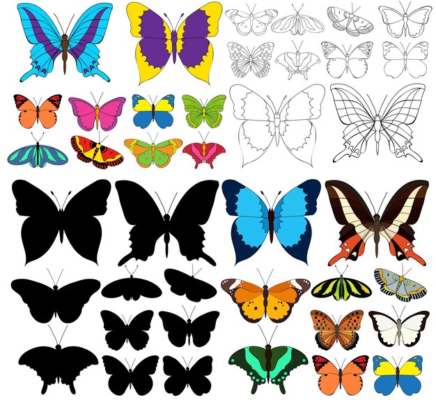 Conjunto de hermosas mariposas multicolores y silueta con dibujo
