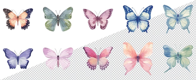 Vector conjunto de hermosas mariposas vectoriales de acuarela clipart de mariposas