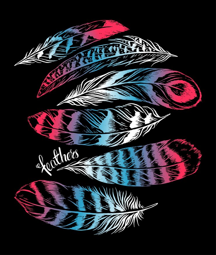 Vector conjunto de hermosas plumas diferentes. ilustración dibujada a mano