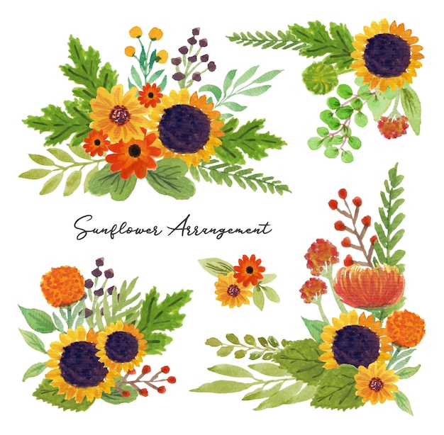 un conjunto de hermosos arreglos de girasol dibujados a mano acuarela