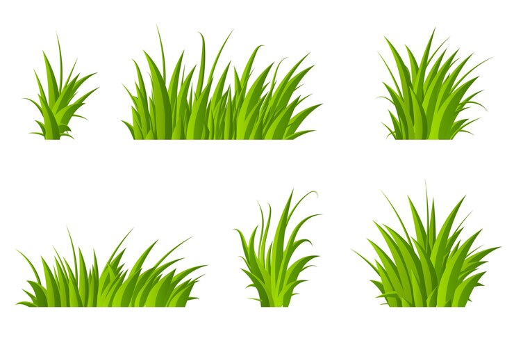 Vector conjunto de hierba verde arbustos de hierba de diferentes formas hierba dibujada a mano hierba verde ilustración vectorial