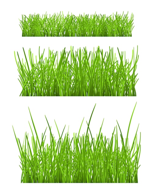 Conjunto de hierba verde