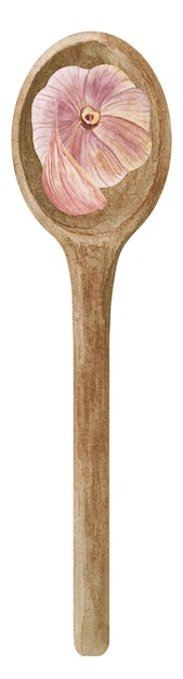 Vector conjunto de hierbas y especias de cocina de ajo fresco acuarela en cuchara de madera