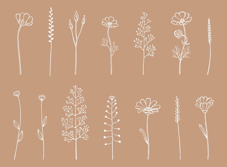 Conjunto de hierbas y flores silvestres Elementos florales dibujados a mano Ilustración vectorial