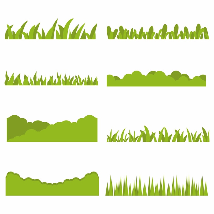 Vector conjunto de hierbas