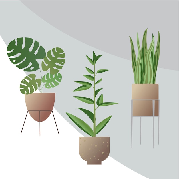 Vector conjunto, de, hogar, plantas, en, maceta, plantas de interior, vector, ilustración