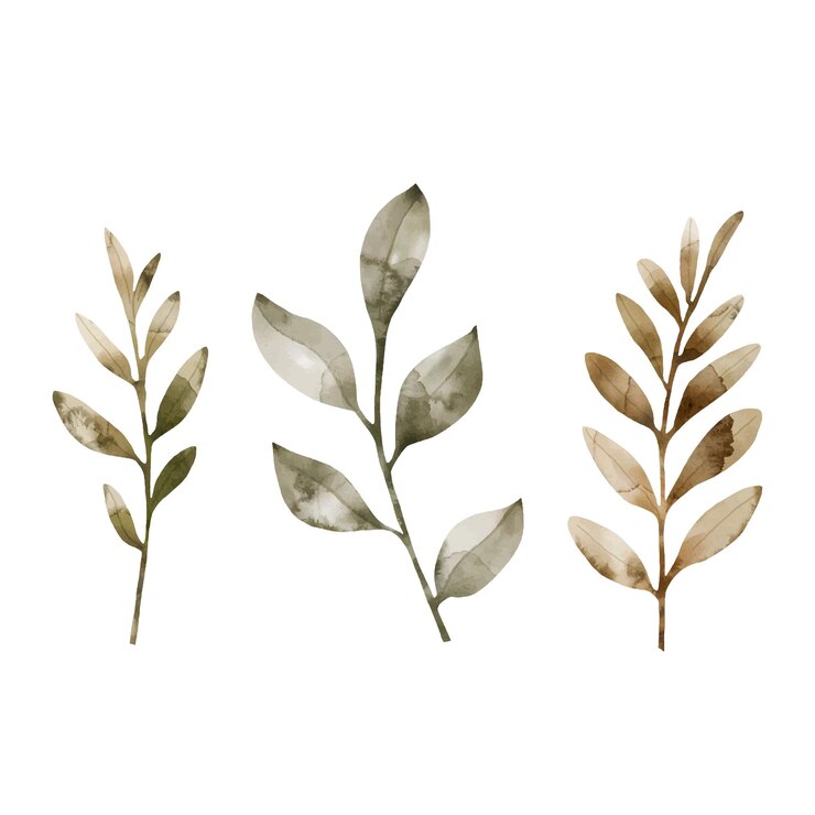 Vector conjunto de hojas de acuarela aisladas sobre un fondo blanco ilustración pintada a mano