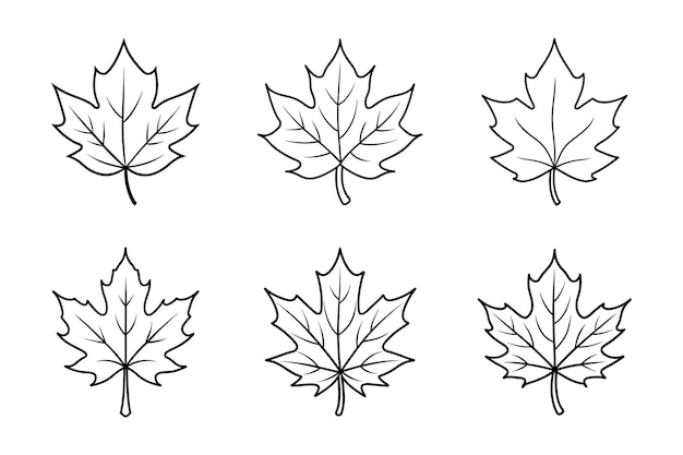 Conjunto de hojas de arce de línea de arte vectorial minimalista de otoño Ilustración de hojas